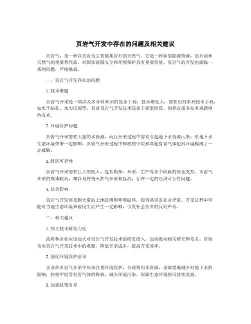 页岩气开发中存在的问题及相关建议