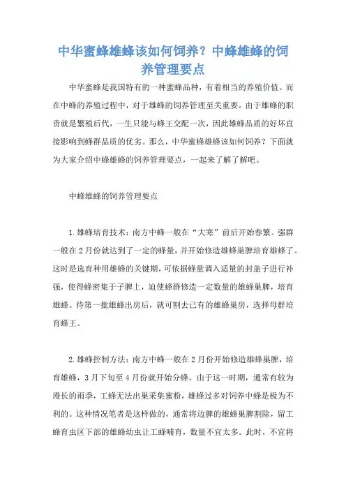 中华蜜蜂雄蜂该如何饲养？中蜂雄蜂的饲养管理要点