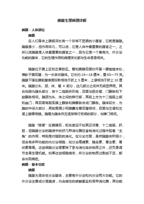 胰腺生理病理详解