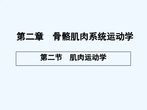 人体运动学-PPT