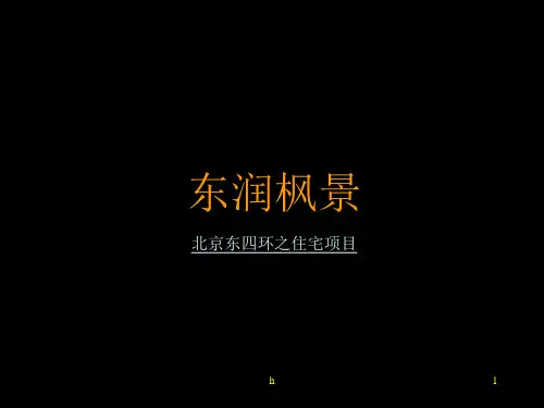 《xx住宅项目提案》PPT课件