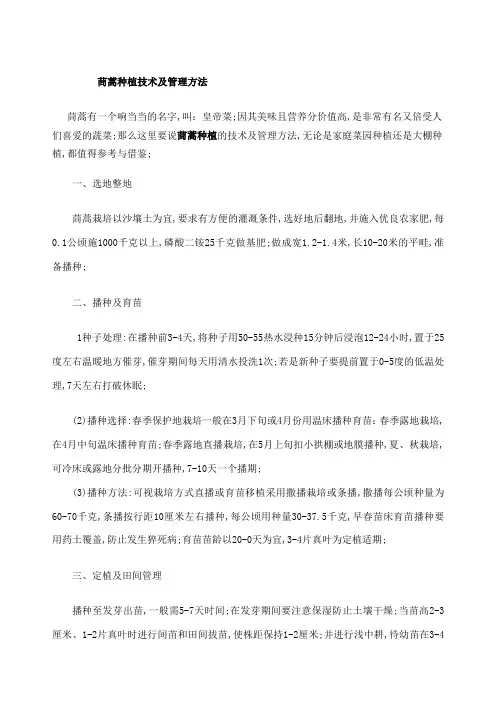 茼蒿种植技术及管理方法