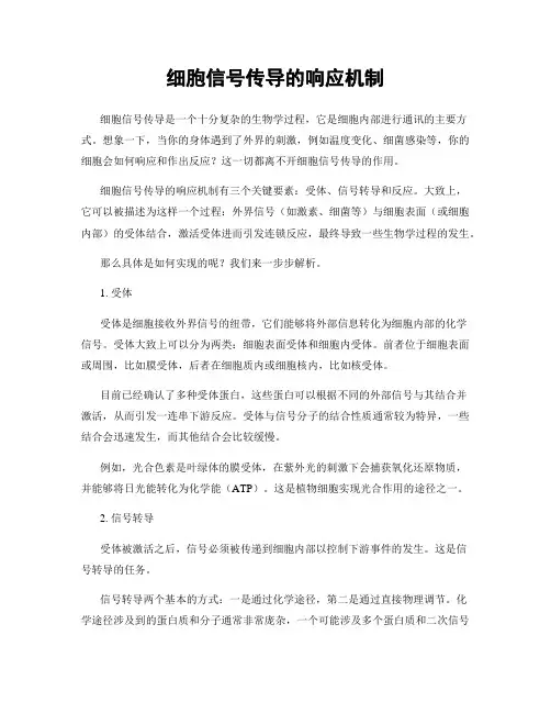 细胞信号传导的响应机制