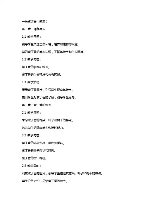 一株紫丁香(教案)