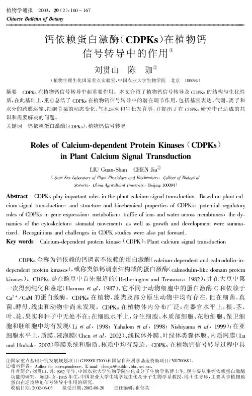 钙依赖蛋白激酶(CDPKs)在植物钙信号转导中的作用