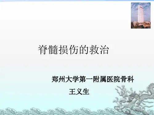 《脊髓损伤的救治》PPT课件