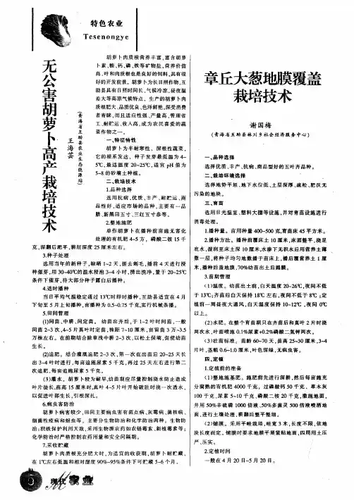 无公害胡萝卜高产栽培技术