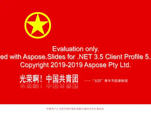 光荣啊中国共青团-PPT课件