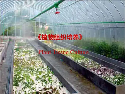 植物组织培养：第1章 植物组织培养概述
