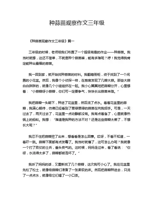 种蒜苗观察作文三年级