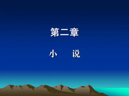 17年小说发展 (2)解析