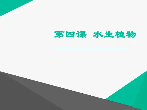 79《水生植物》PPT课件