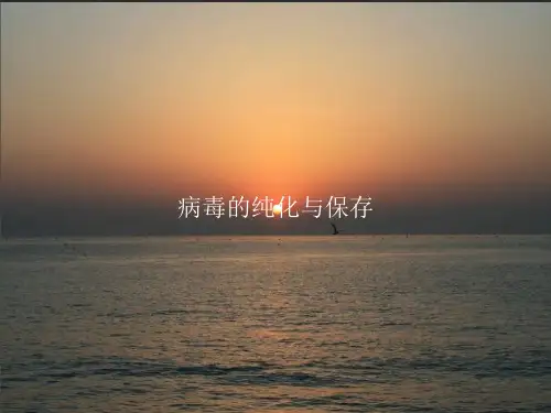 病毒的纯化与保存