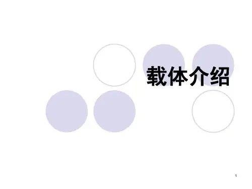 载体介绍