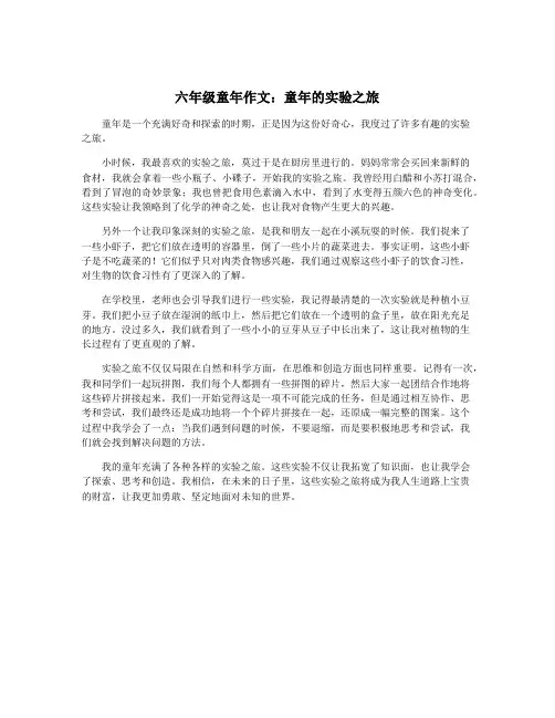 六年级童年作文:童年的实验之旅