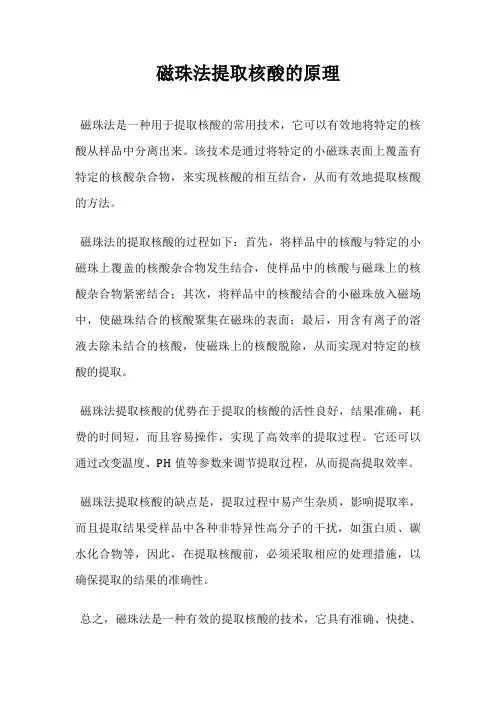 磁珠法提取核酸的原理