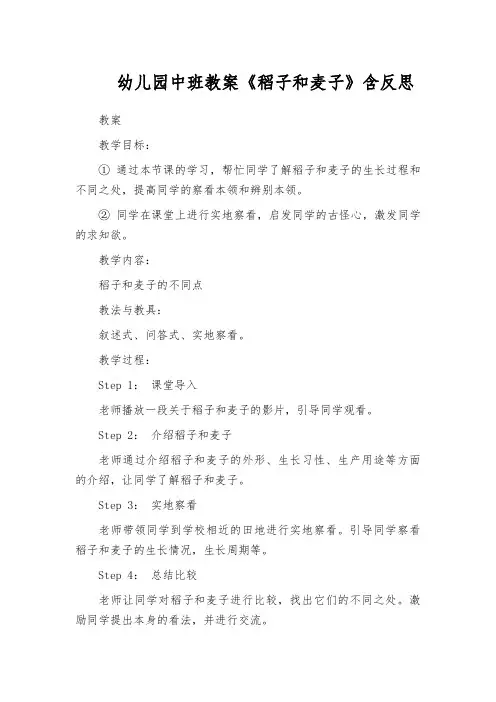 幼儿园中班教案《稻子和麦子》含反思