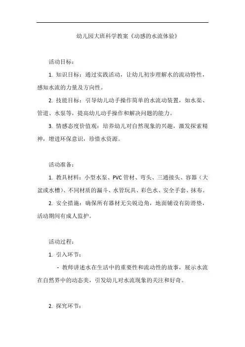 幼儿园大班科学教案《动感的水流体验》