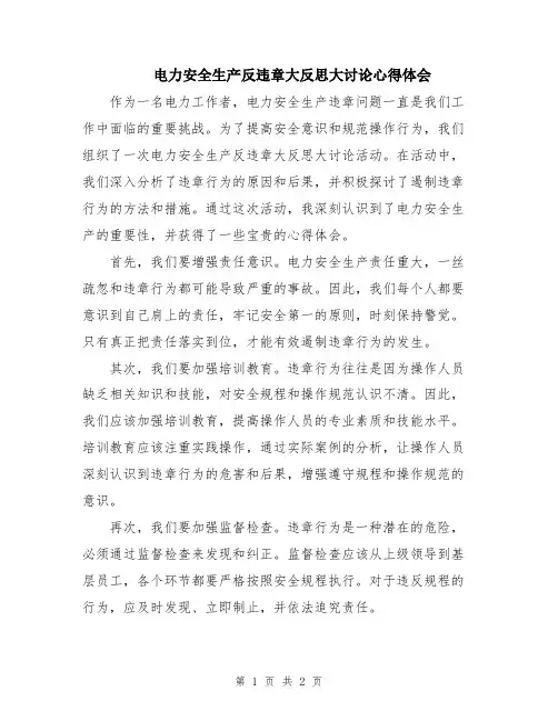 电力安全生产反违章大反思大讨论心得体会