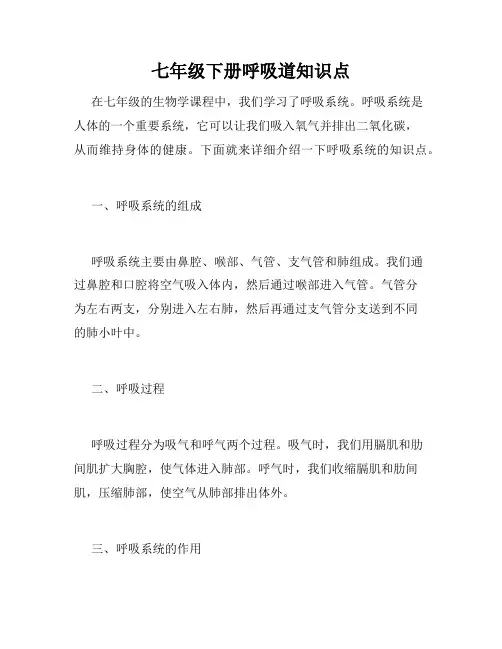 七年级下册呼吸道知识点