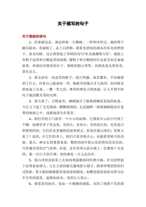 关于描写的句子