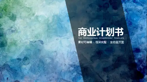 定制商业计划书ppt模板