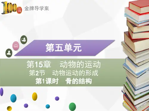 北师大版八上导学案课件   第15章   第2节 动物运动的形成   第1课时 骨的结构(共33张PPT)