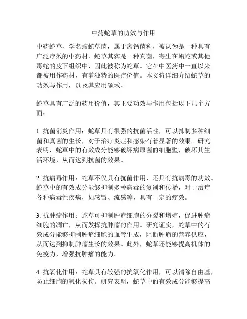 中药蛇草的功效与作用