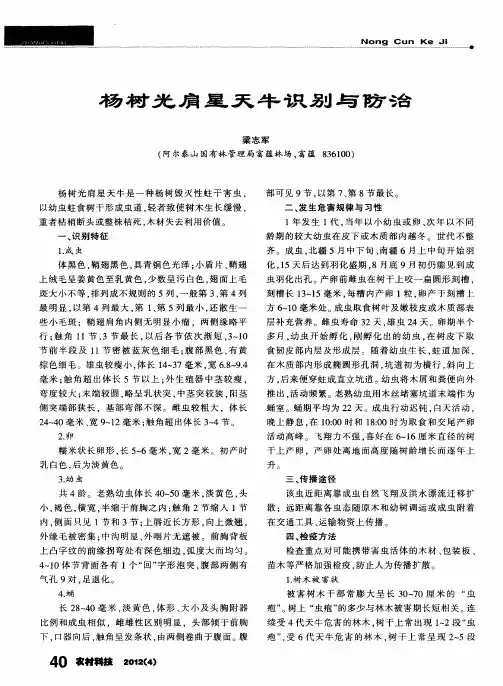 杨树光肩星天牛识别与防治