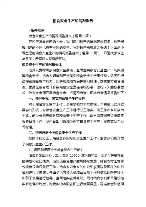 粮食安全生产的情况报告