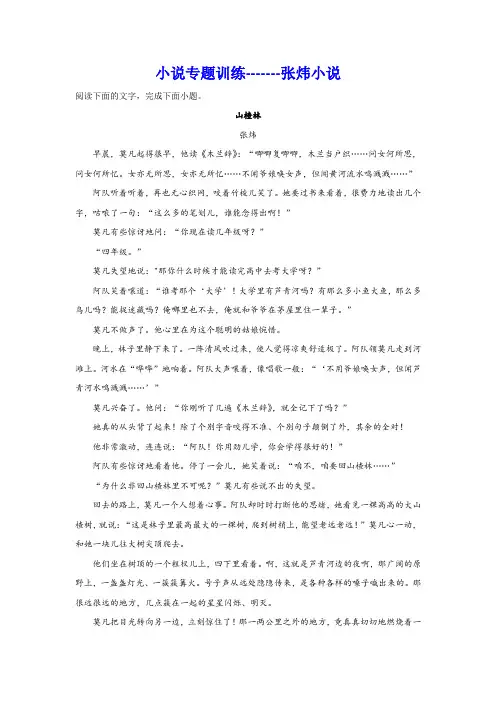 2024届高考小说专题训练：张炜小说(含解析)
