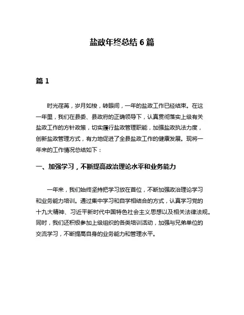 盐政年终总结6篇