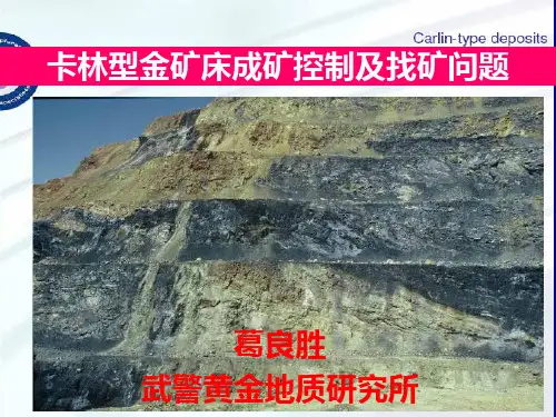 卡林型金矿床成矿控制及找矿问题(葛良胜)PPT课件