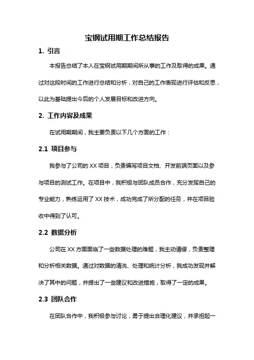 宝钢试用期工作总结报告