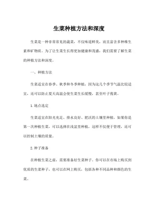 生菜种植方法和深度