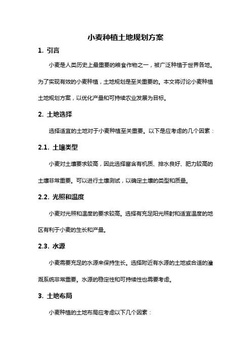 小麦种植土地规划方案
