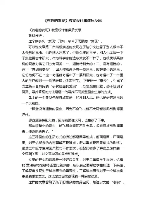 《有趣的发现》教案设计和课后反思