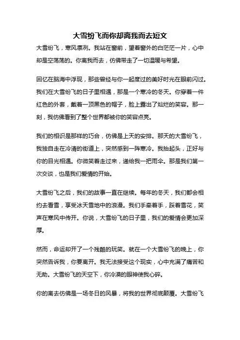 大雪纷飞而你却离我而去短文