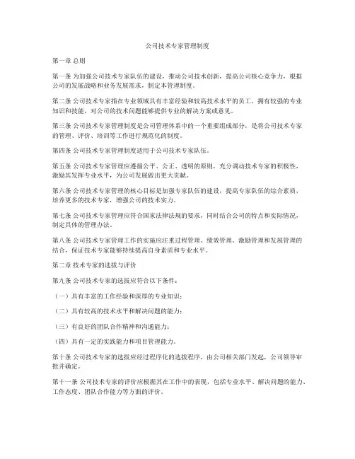 公司技术专家管理制度