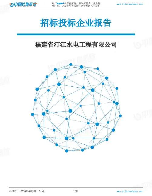 福建省汀江水电工程有限公司-招投标数据分析报告