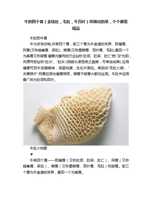 牛的四个胃（金钱肚，毛肚，牛百叶）所做出的菜，个个都是精品