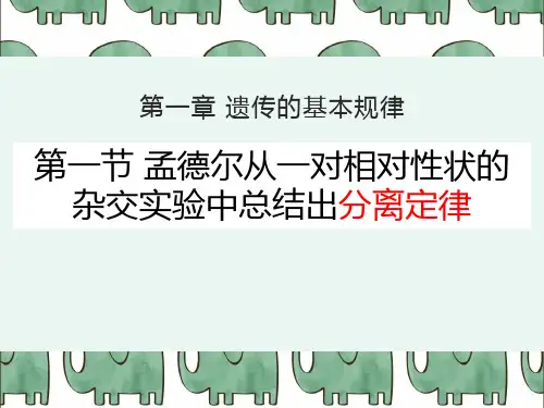 1.1孟德尔从一对相对性状的杂交实验中总结出分离定律-2020-2021学年高一生物浙科版必修2课件