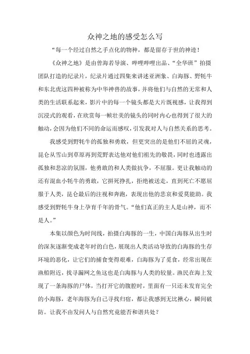 众神之地的感受怎么写