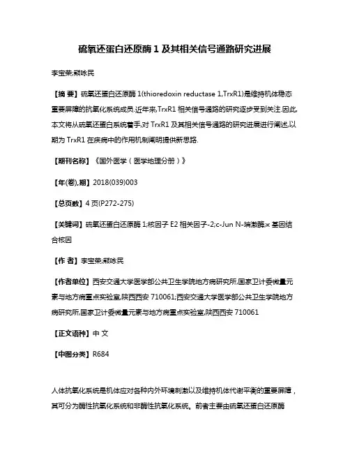硫氧还蛋白还原酶1及其相关信号通路研究进展