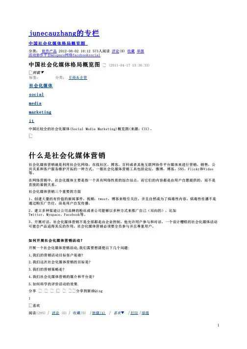 中国社会化媒体格局概览图