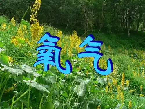 初中八年级化学《氧气的性质》PPT课件