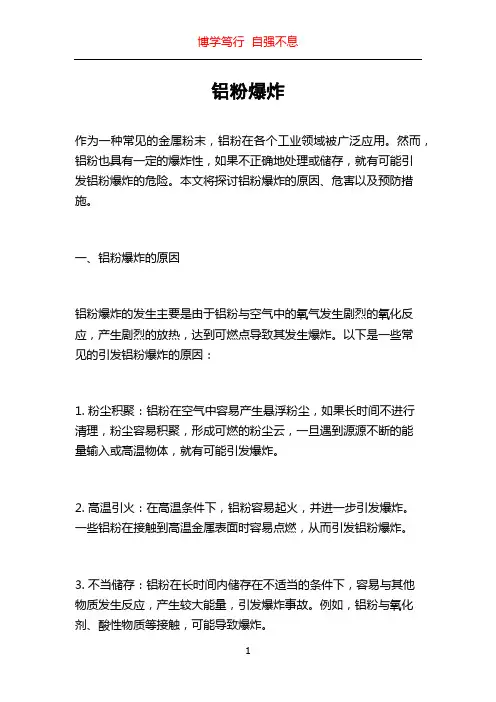 铝粉爆炸_精品文档