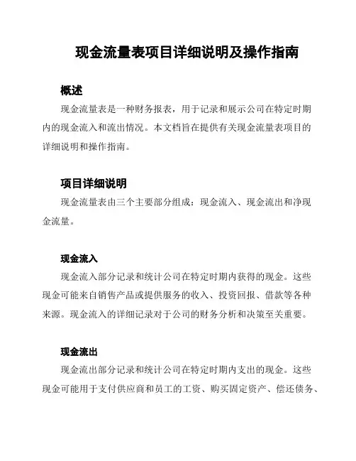 现金流量表项目详细说明及操作指南