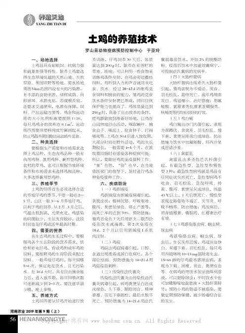 土鸡的养殖技术