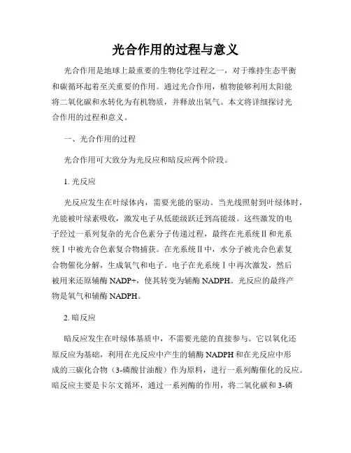 光合作用的过程与意义